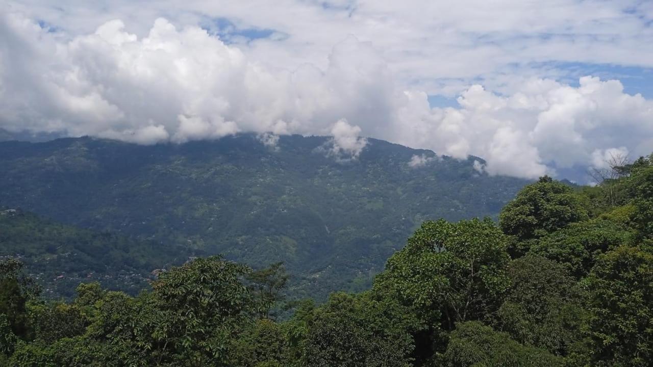 Singtom Tea Resort Darjeeling  Eksteriør billede